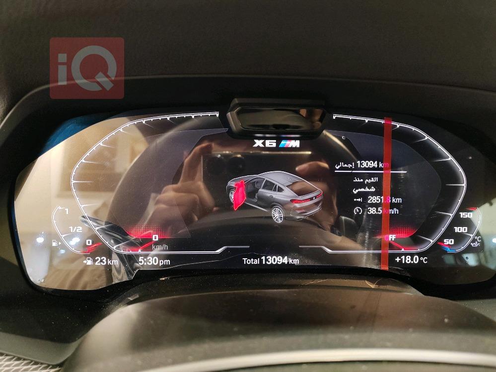 بي ام دبليو X6